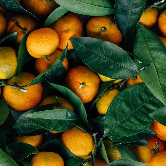 erol-ahmed-407736-unsplash