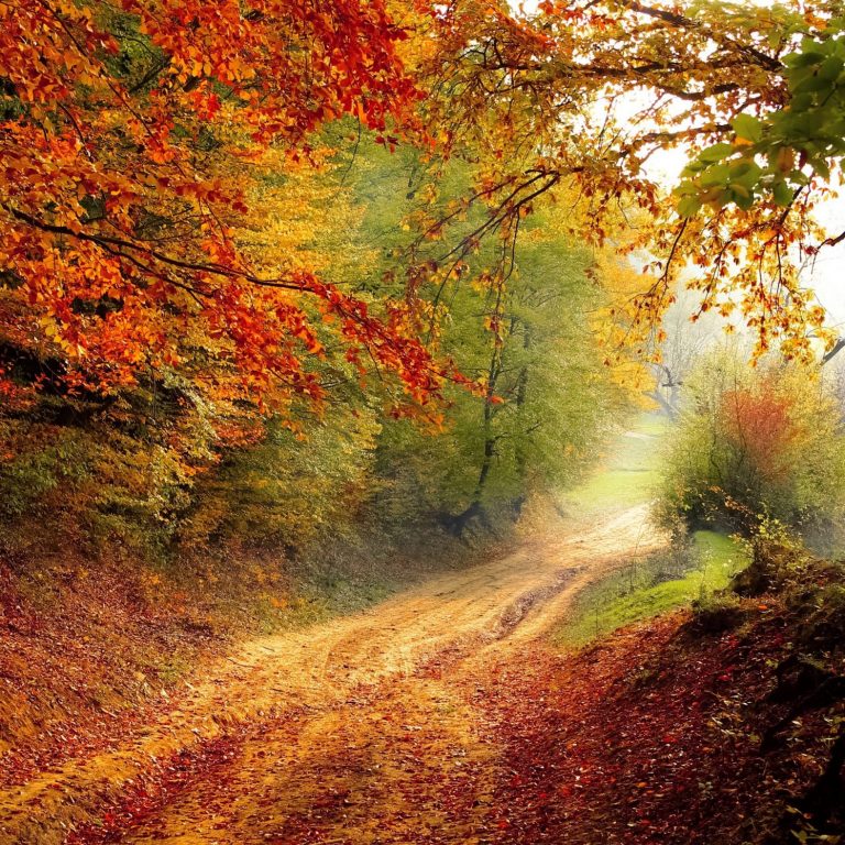 road-1072823