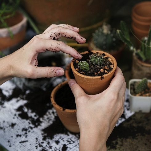 locr geoservices and maps blog image ecology