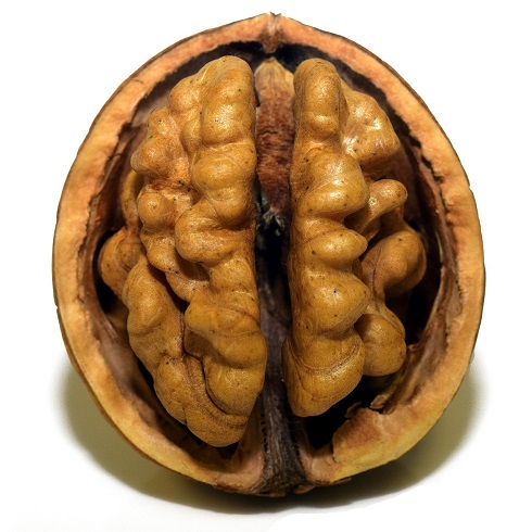 locr Geomarketing blog image locr GEOservices and Maps blog image