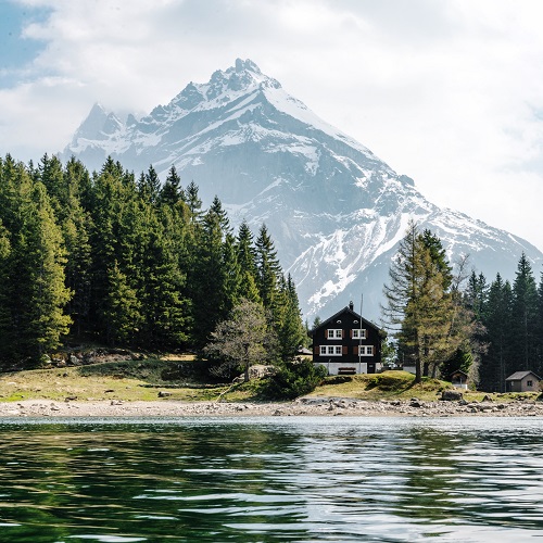 dino-reichmuth-90169-unsplash SQ