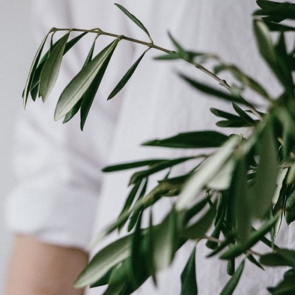 the-bialons-1198946-unsplash – SQ